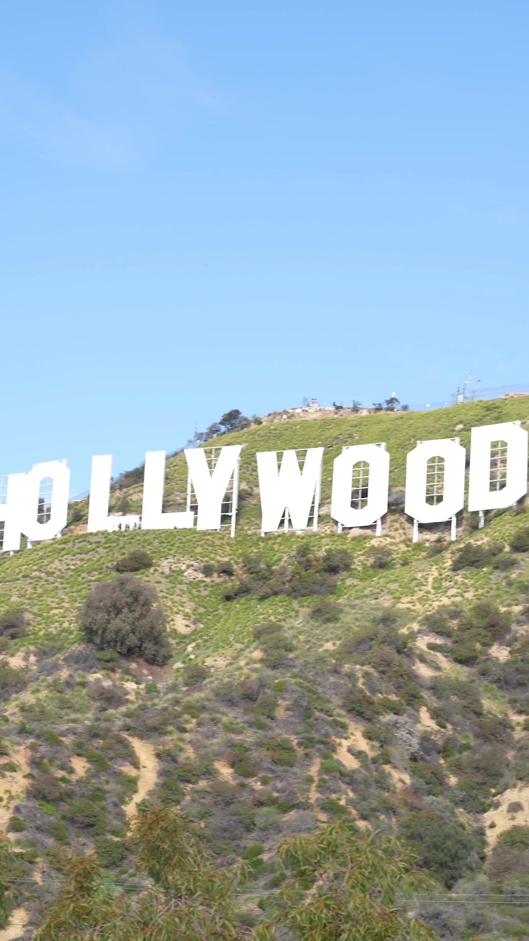 Video post by @teamhendrick on TikTok