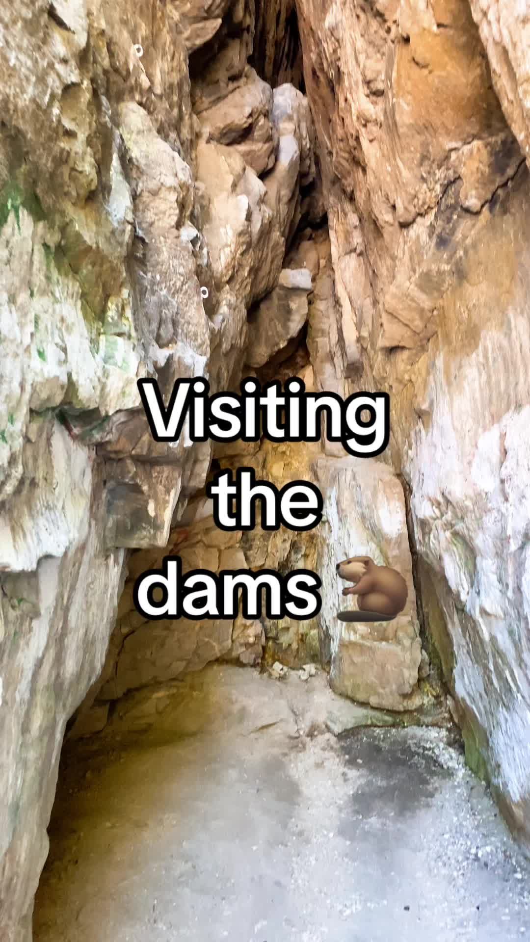 Video post by @travisjerome14 on TikTok