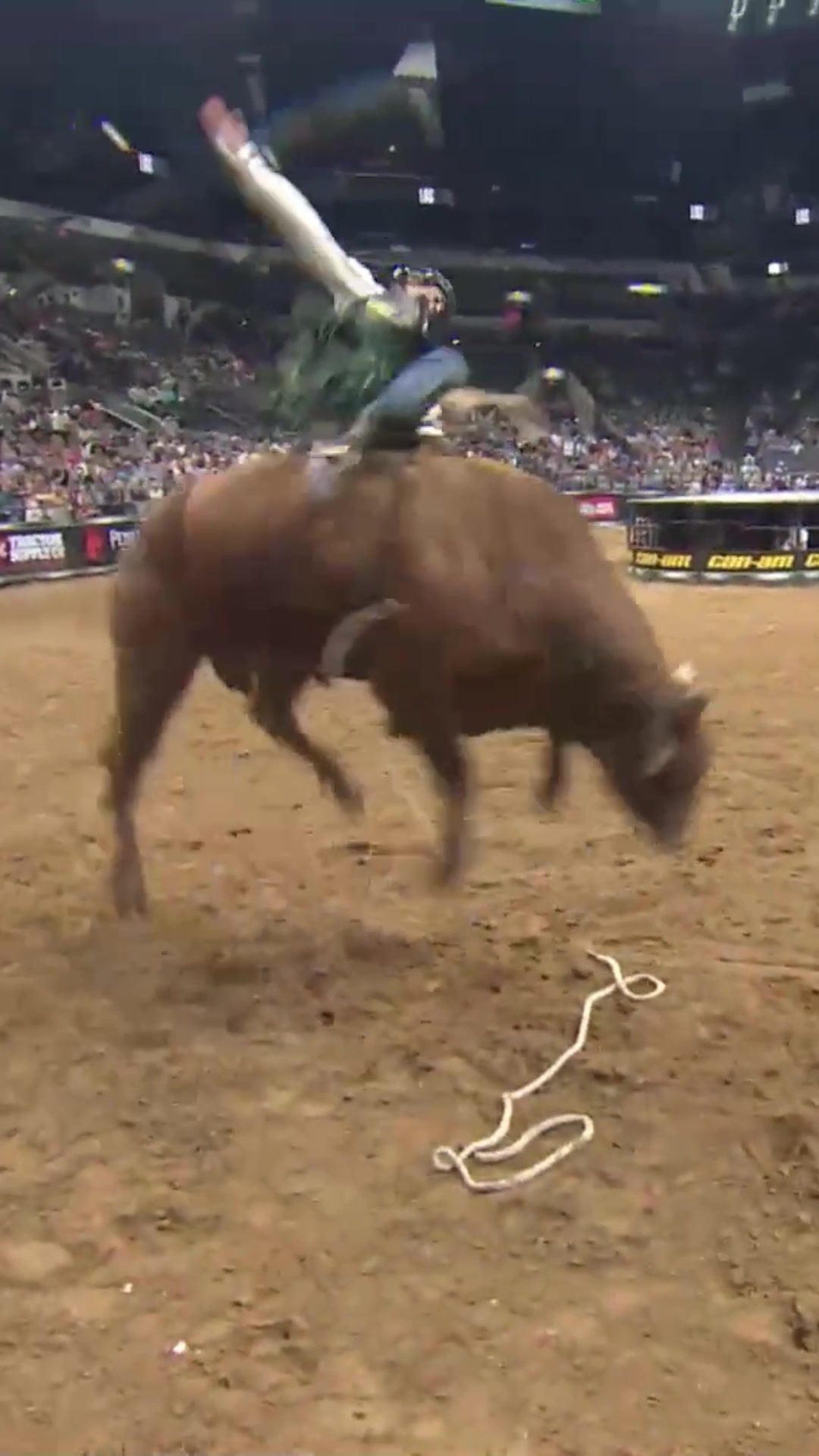 Video post by @pbr on TikTok