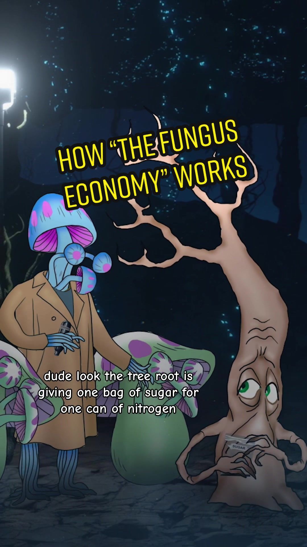 Video post by @discovery on TikTok