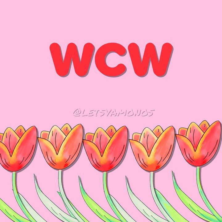 Image post by @letsvamonosnetwork on Facebook