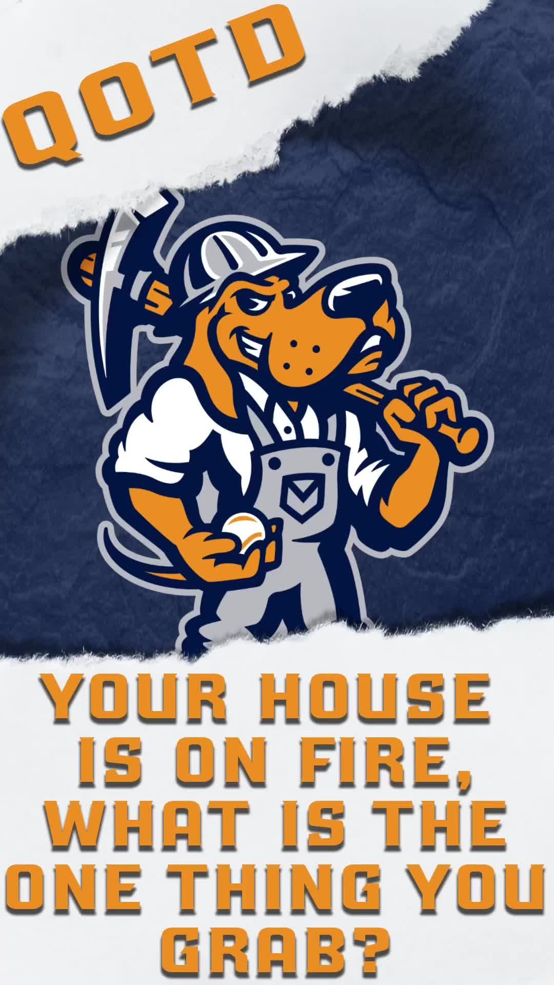 Video post by @midlandrockhounds on TikTok