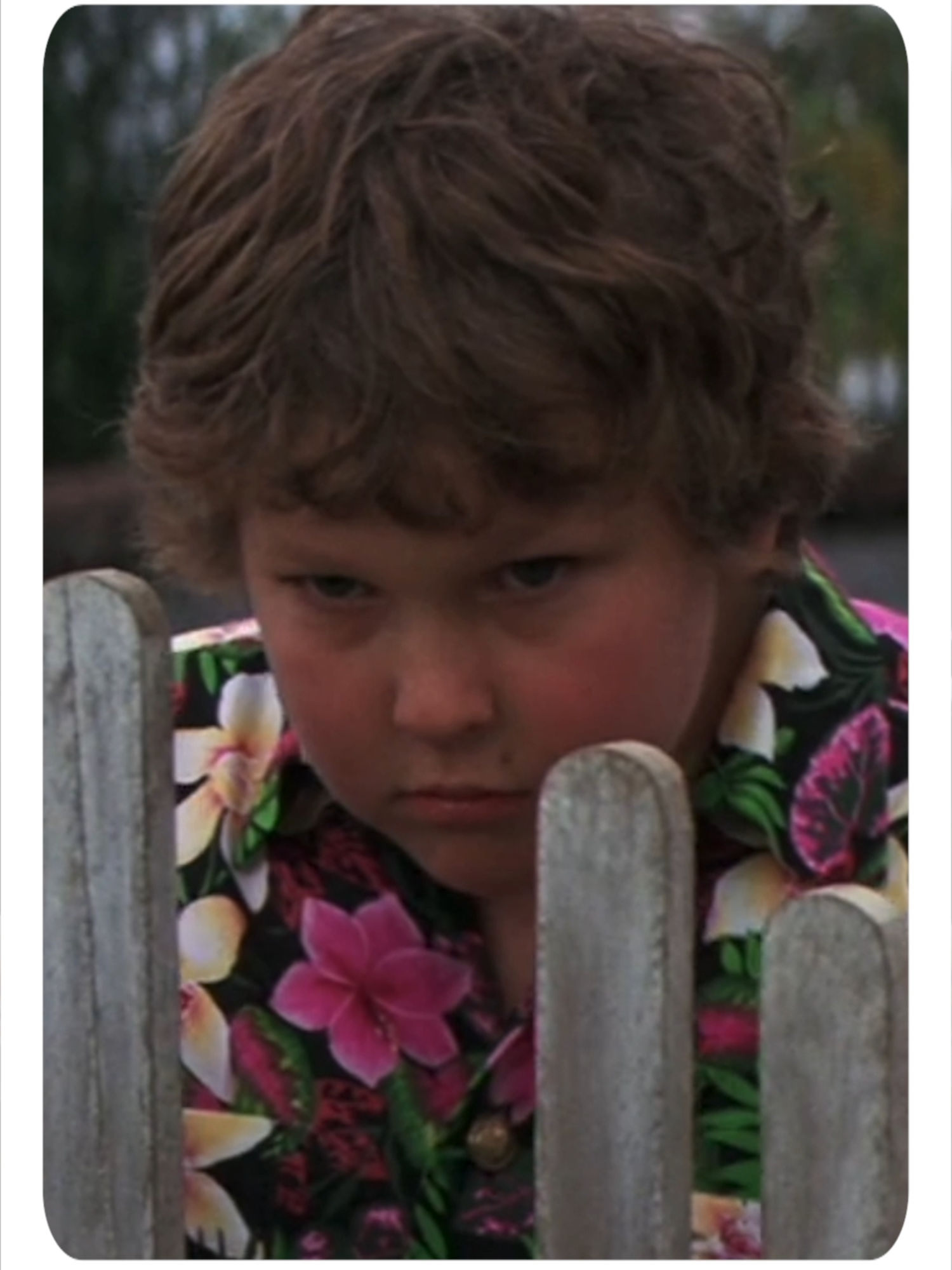 Video post by @streamonmax on TikTok