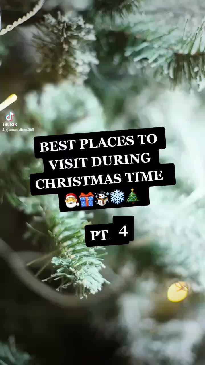 Video post by @xmas.vibes.365 on TikTok