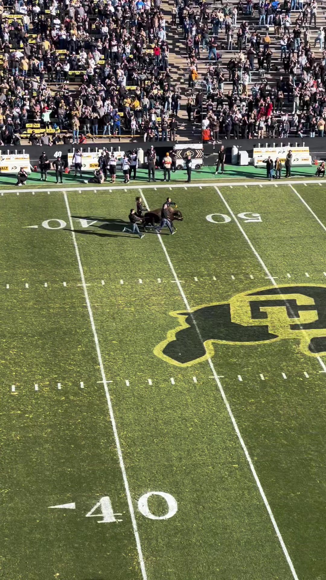 Video post by @cubuffsfootball on TikTok