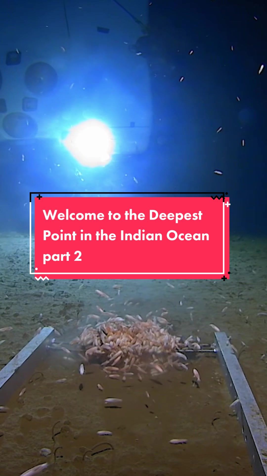 Video post by @sciencechannel on TikTok