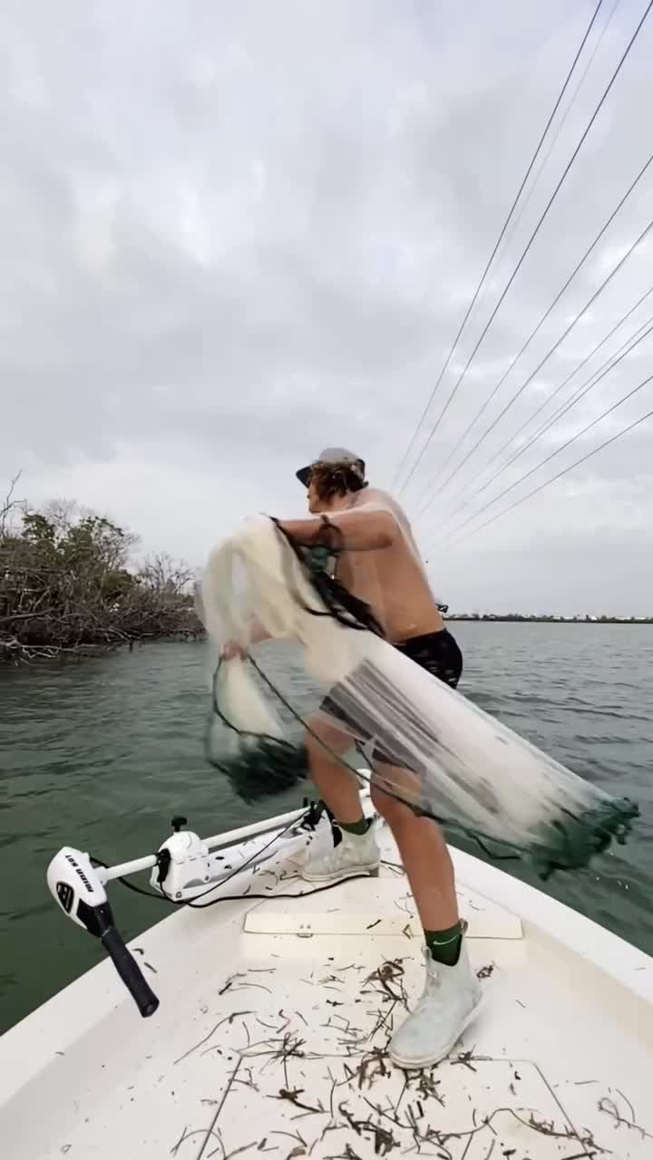 Video post by @calebtacia on TikTok