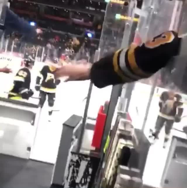 Video post by @hockeycollective on TikTok