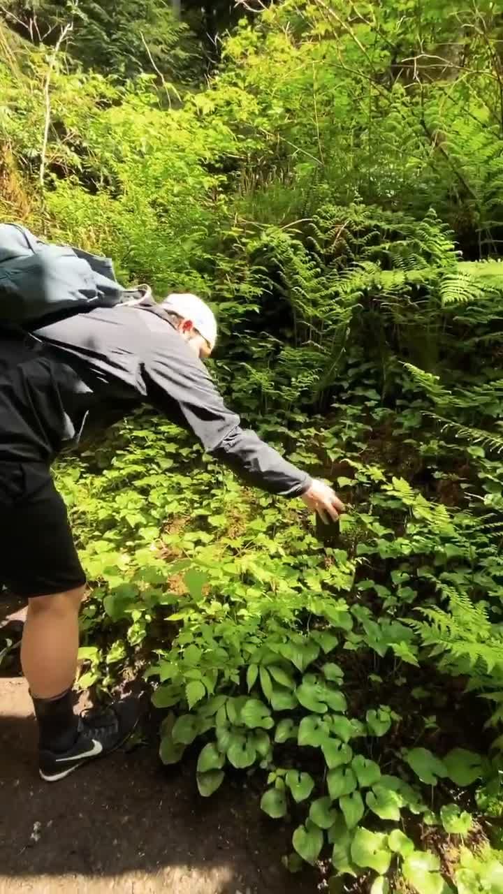 Video post by @brianbosche on TikTok