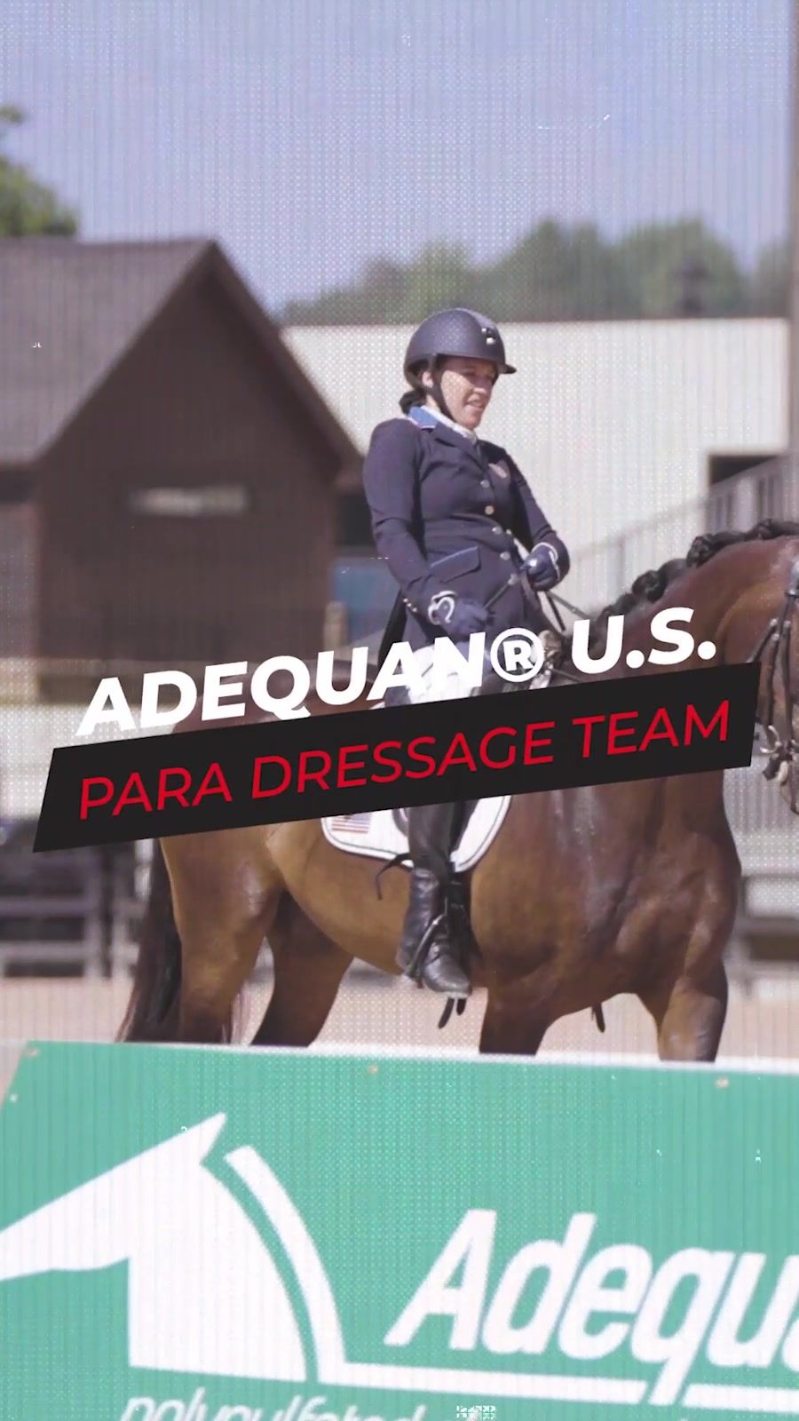 Video post by @usequestrian on TikTok