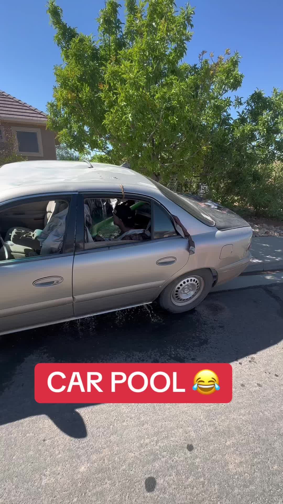 Video post by @whistle on TikTok