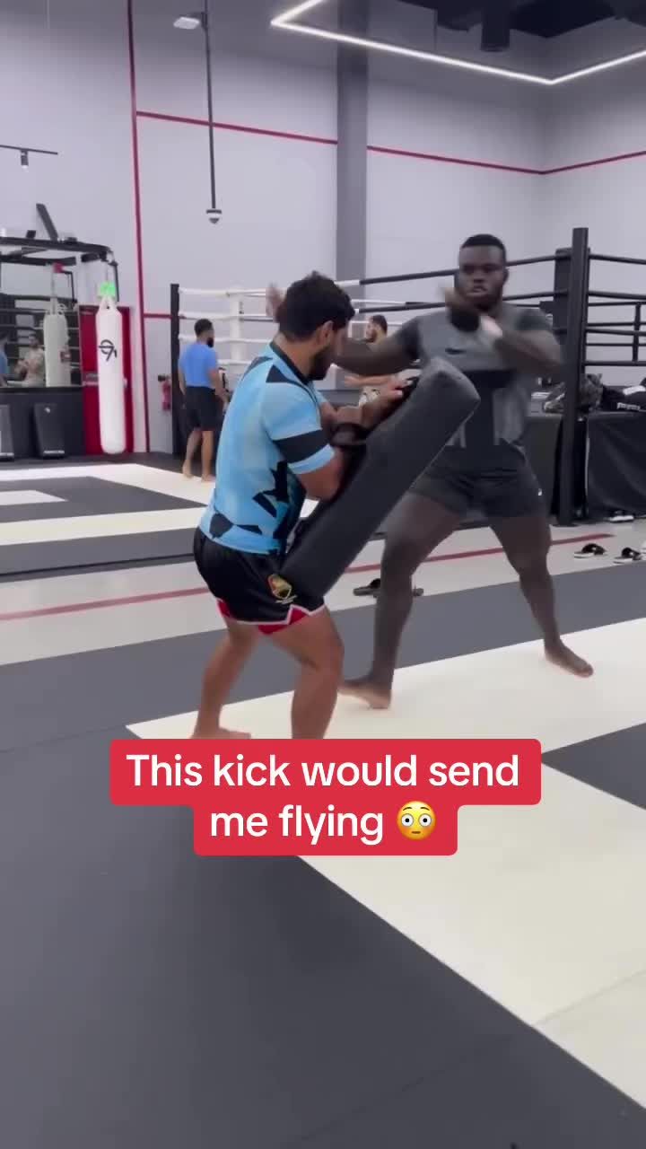 Video post by @whistle on TikTok