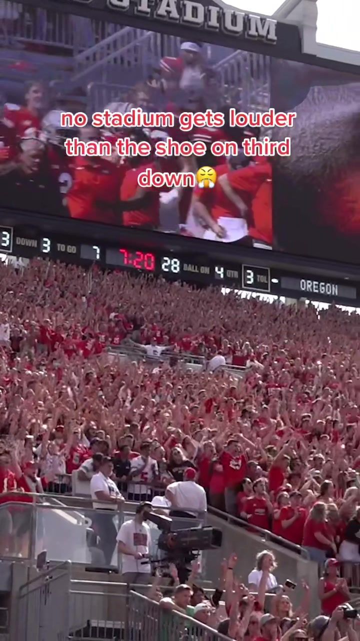 Video post by @thelanternosu on TikTok