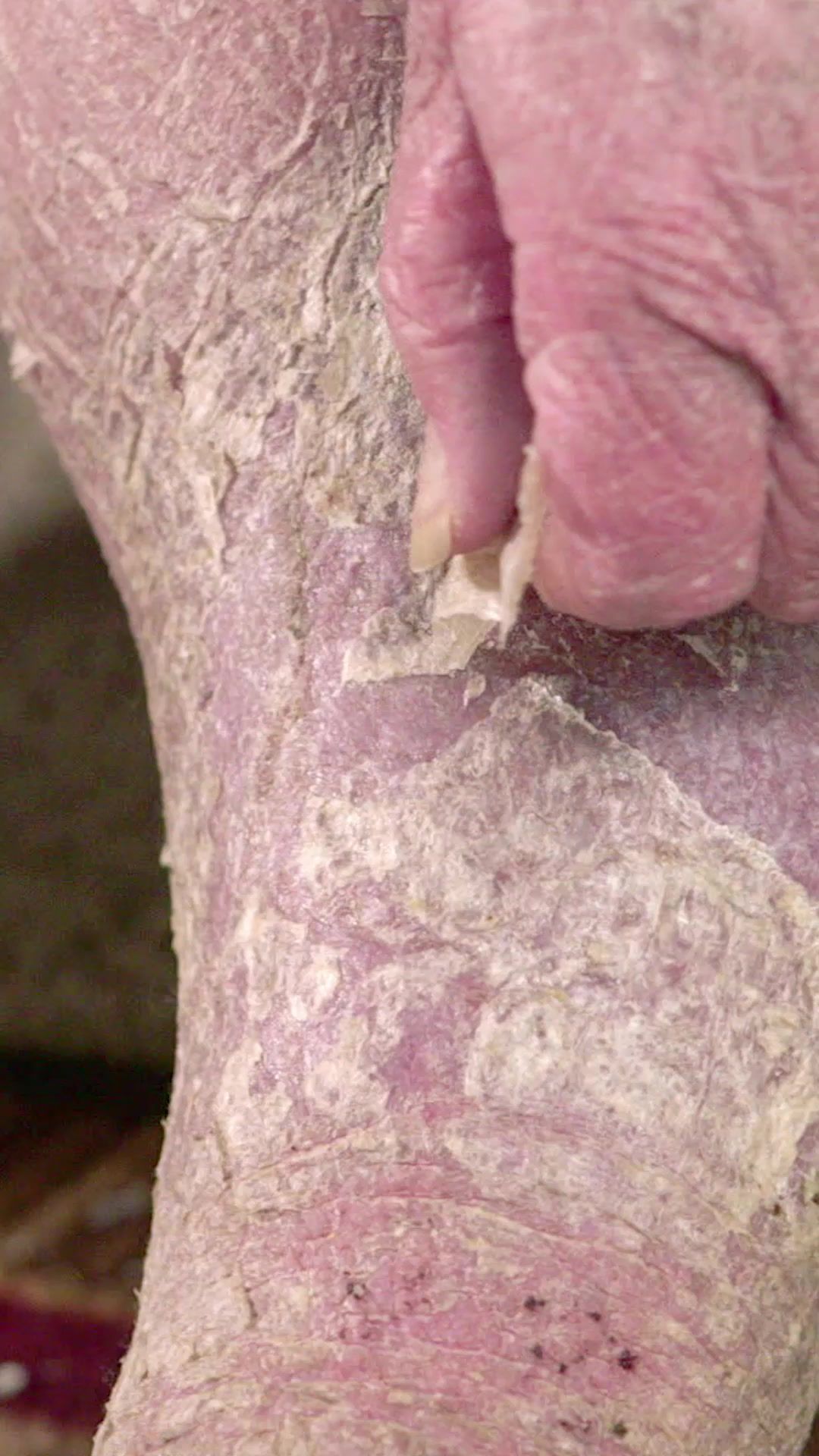 Video post by @tlctv on TikTok