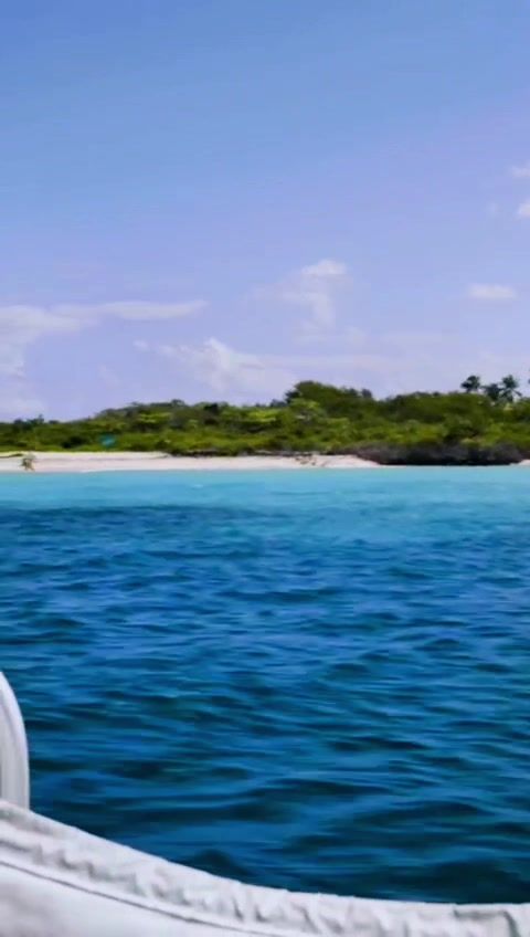 Video post by @imgacademy on TikTok