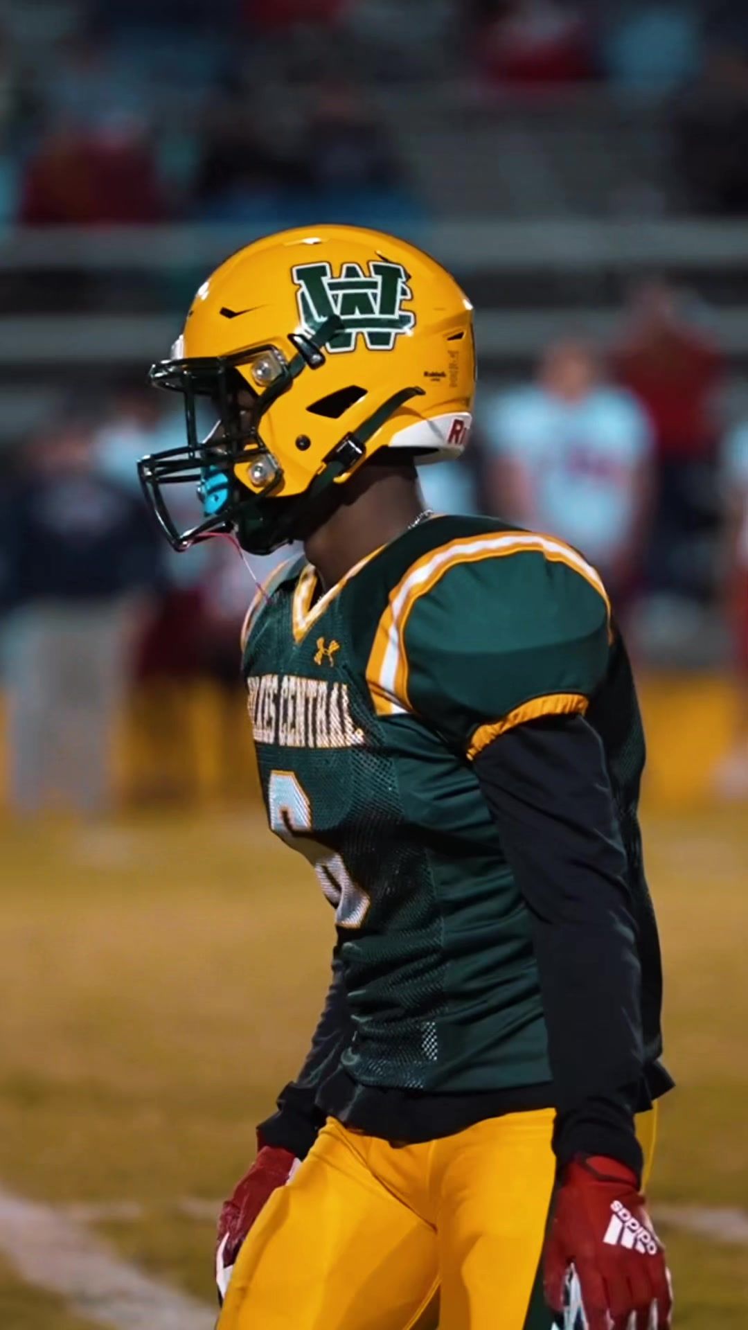 Video post by @waterhousevisuals on TikTok