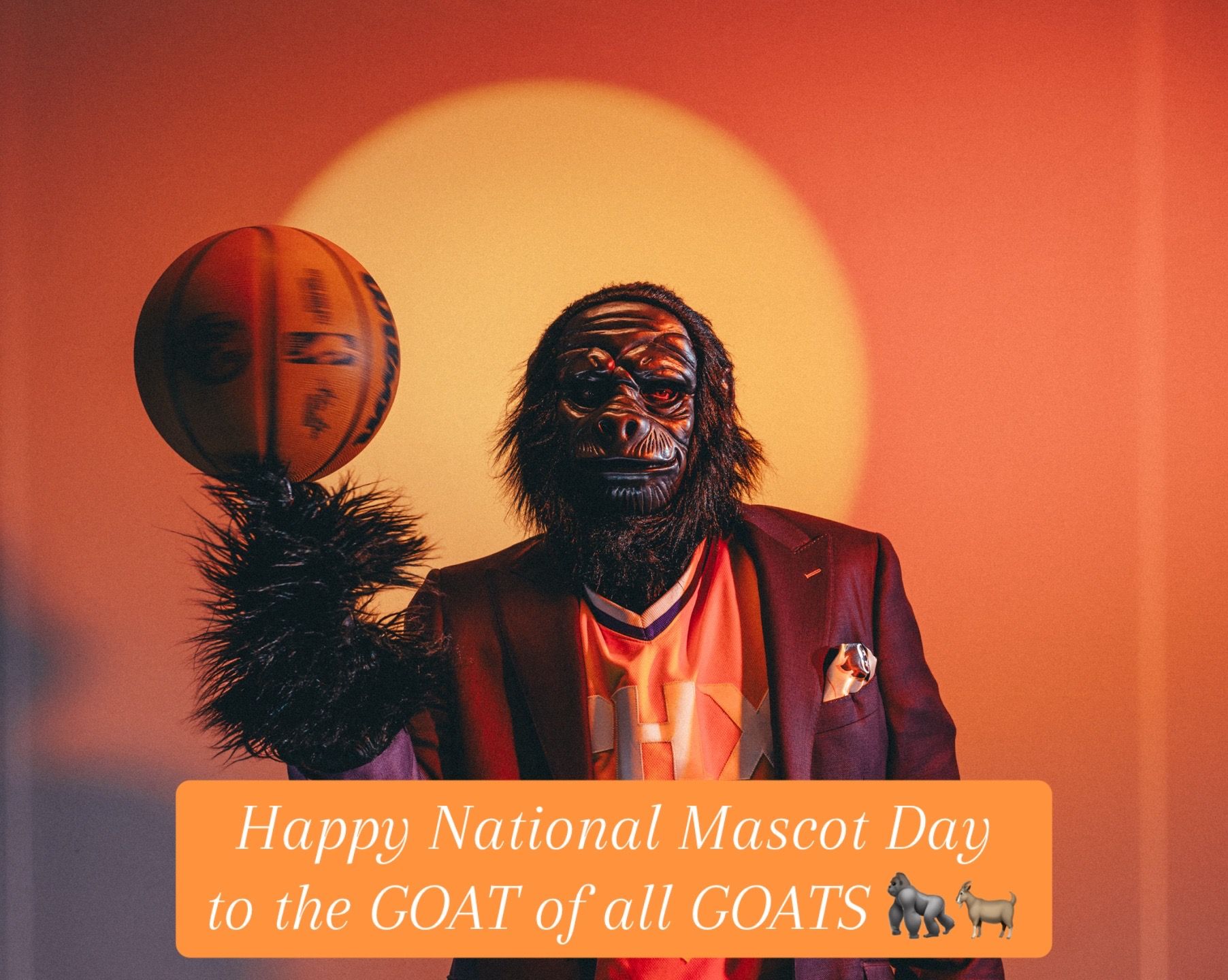 Image post by @phoenixsuns on TikTok