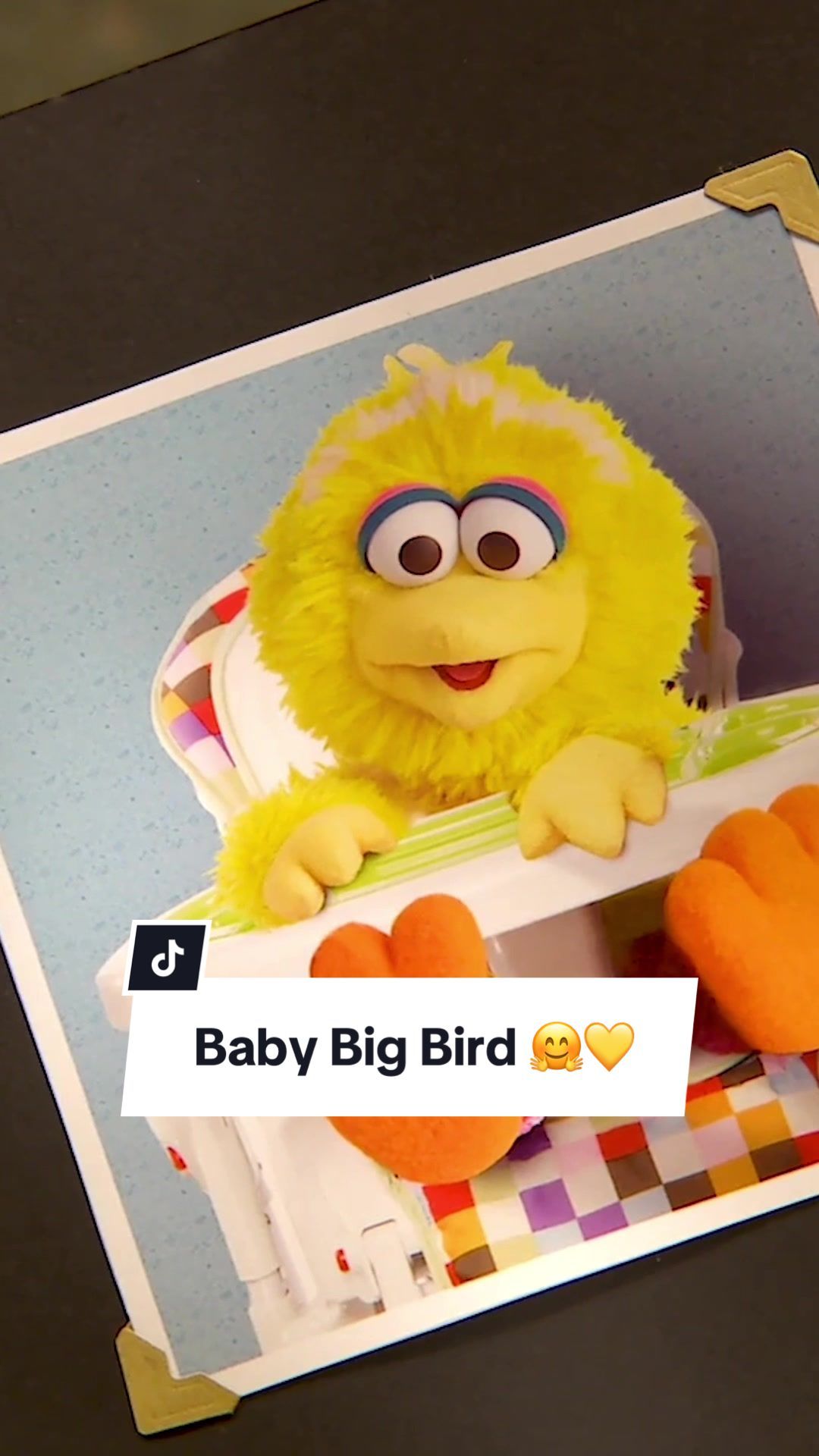 Video post by @sesamestreet on TikTok