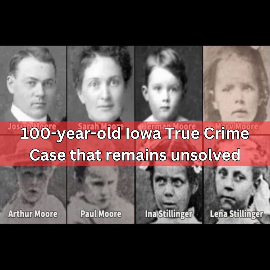 Video post by @iowachill on TikTok