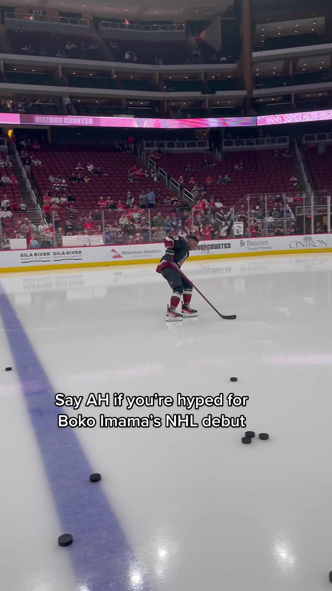 Video post by @nhlcoyotes on TikTok