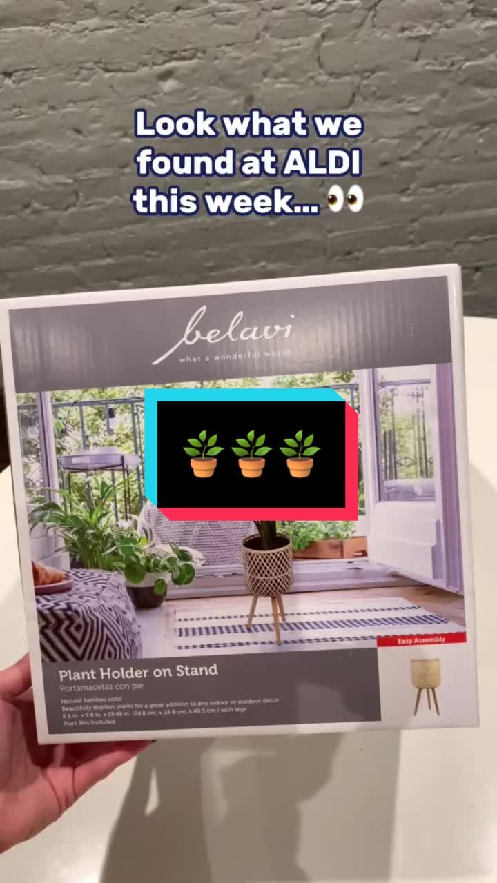 Video post by @aldiusa on TikTok