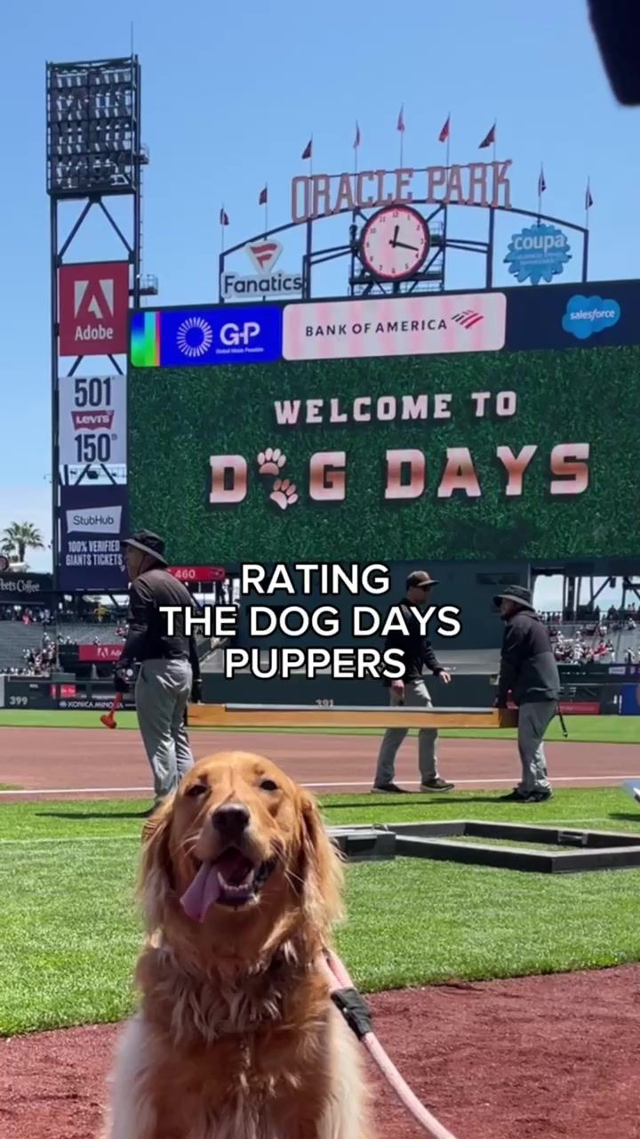 Video post by @sfgiants on TikTok