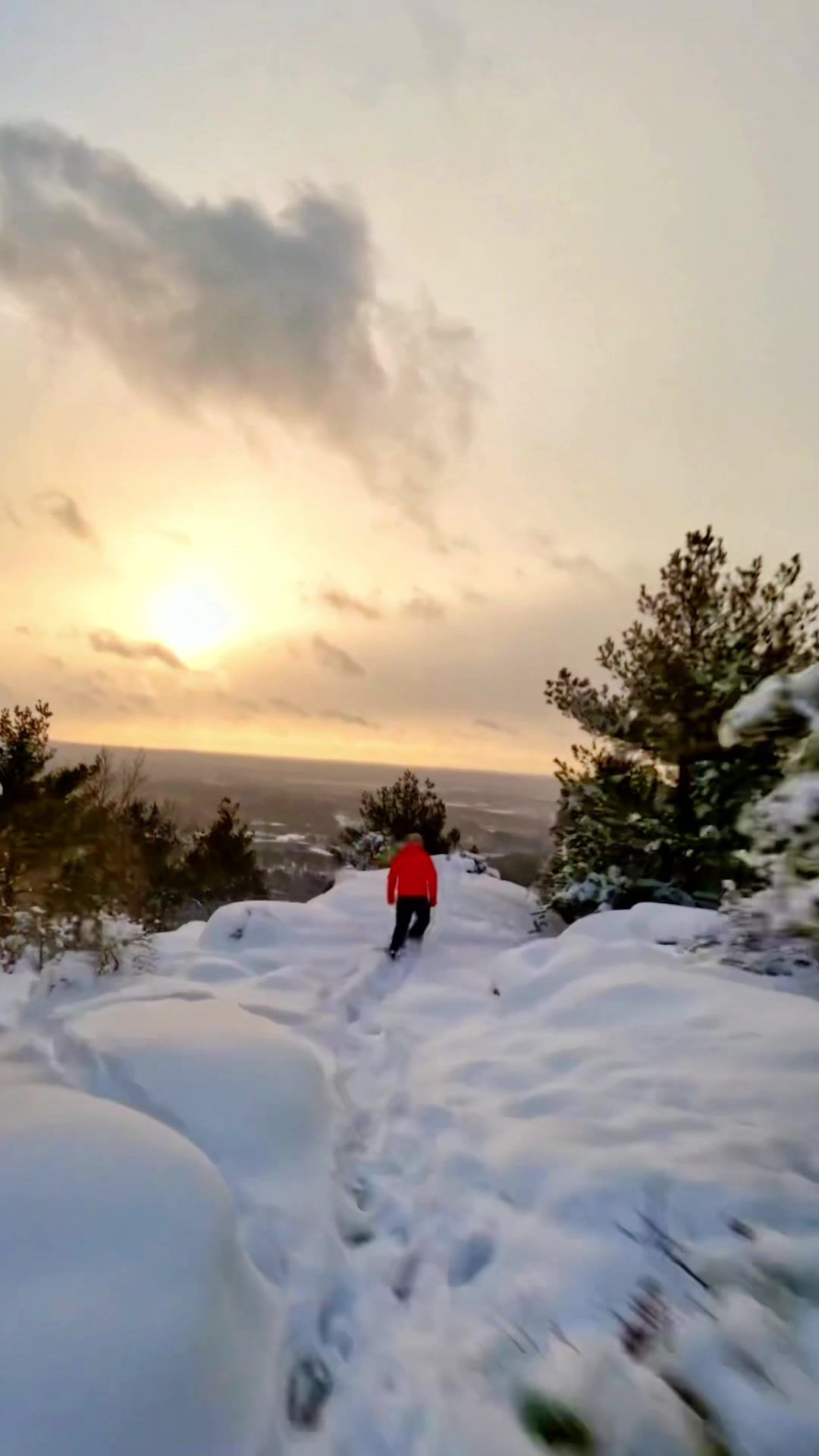 Video post by @nikolaizfpv on TikTok