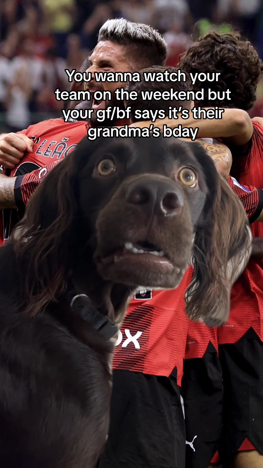 Video post by @puma on TikTok