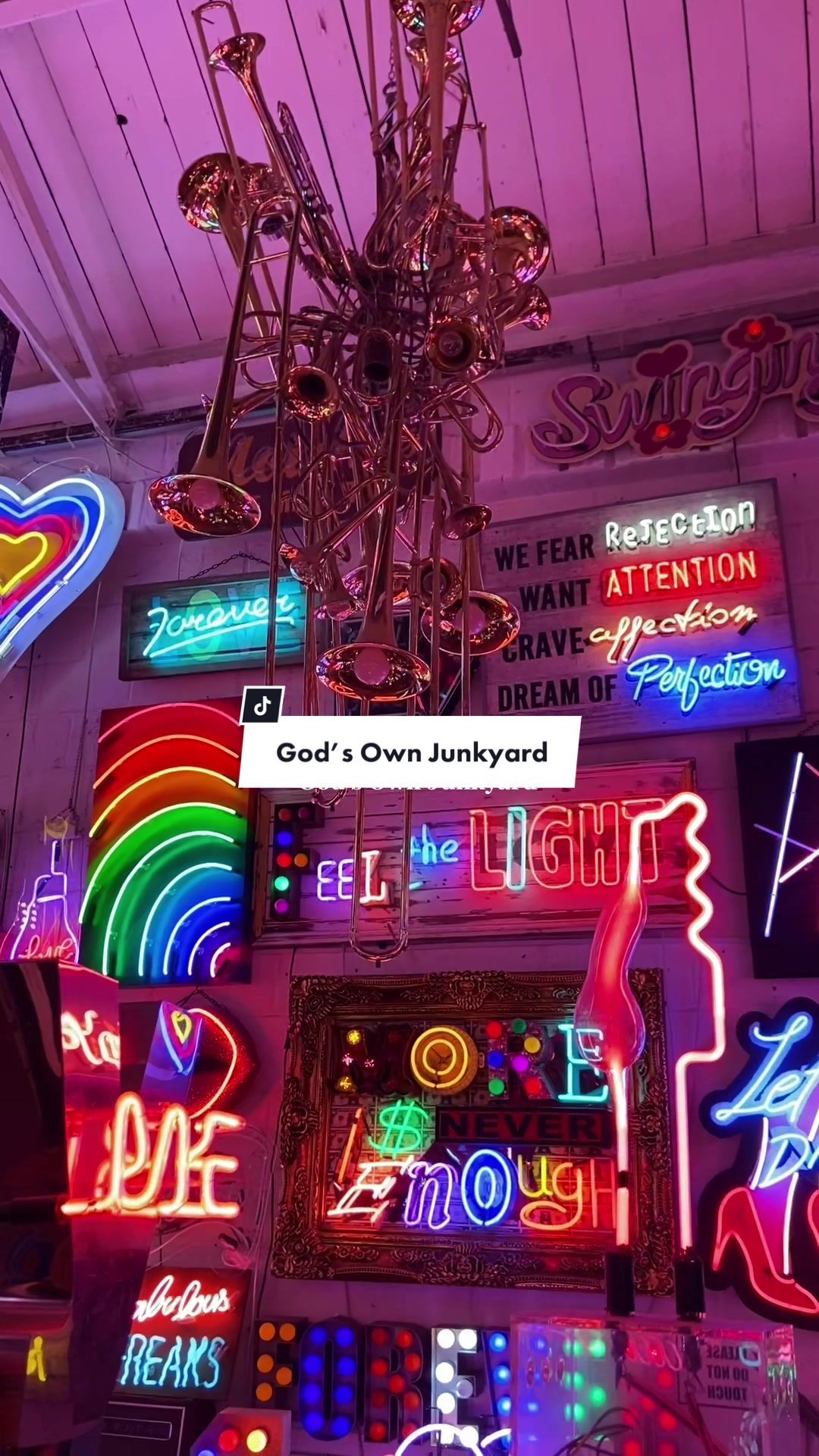 Video post by @marisa_elle on TikTok