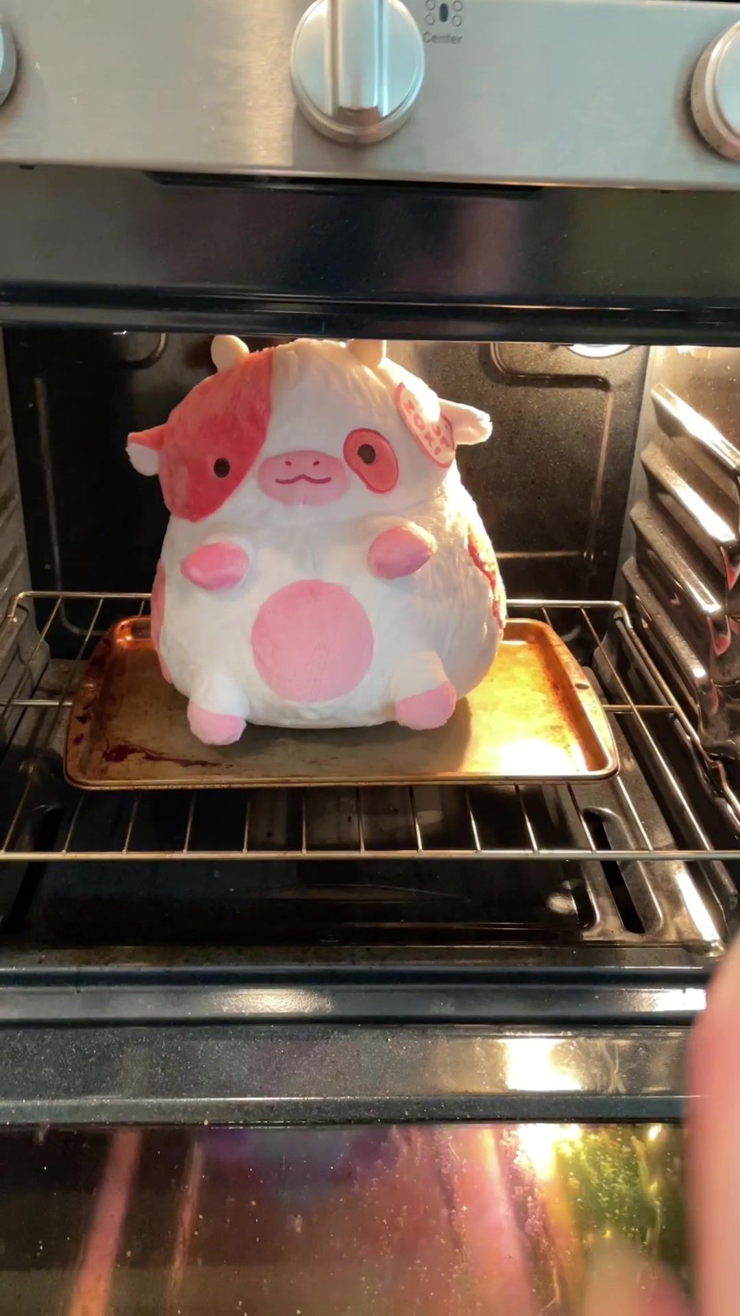 Video post by @shopzokifriends on TikTok