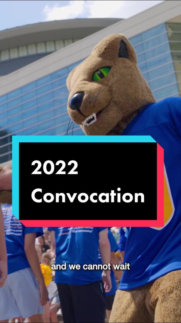 Video post by @pittofficial on TikTok