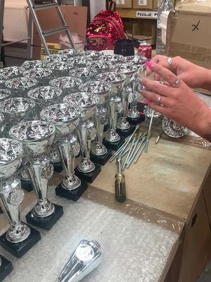 Video post by @trophiesplusmedals on TikTok