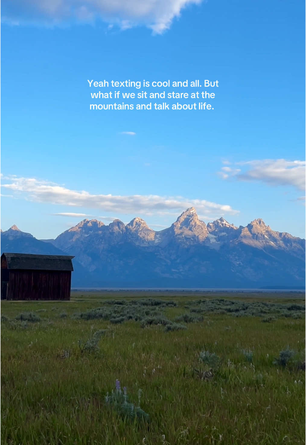 Video post by @annie_nadin on TikTok