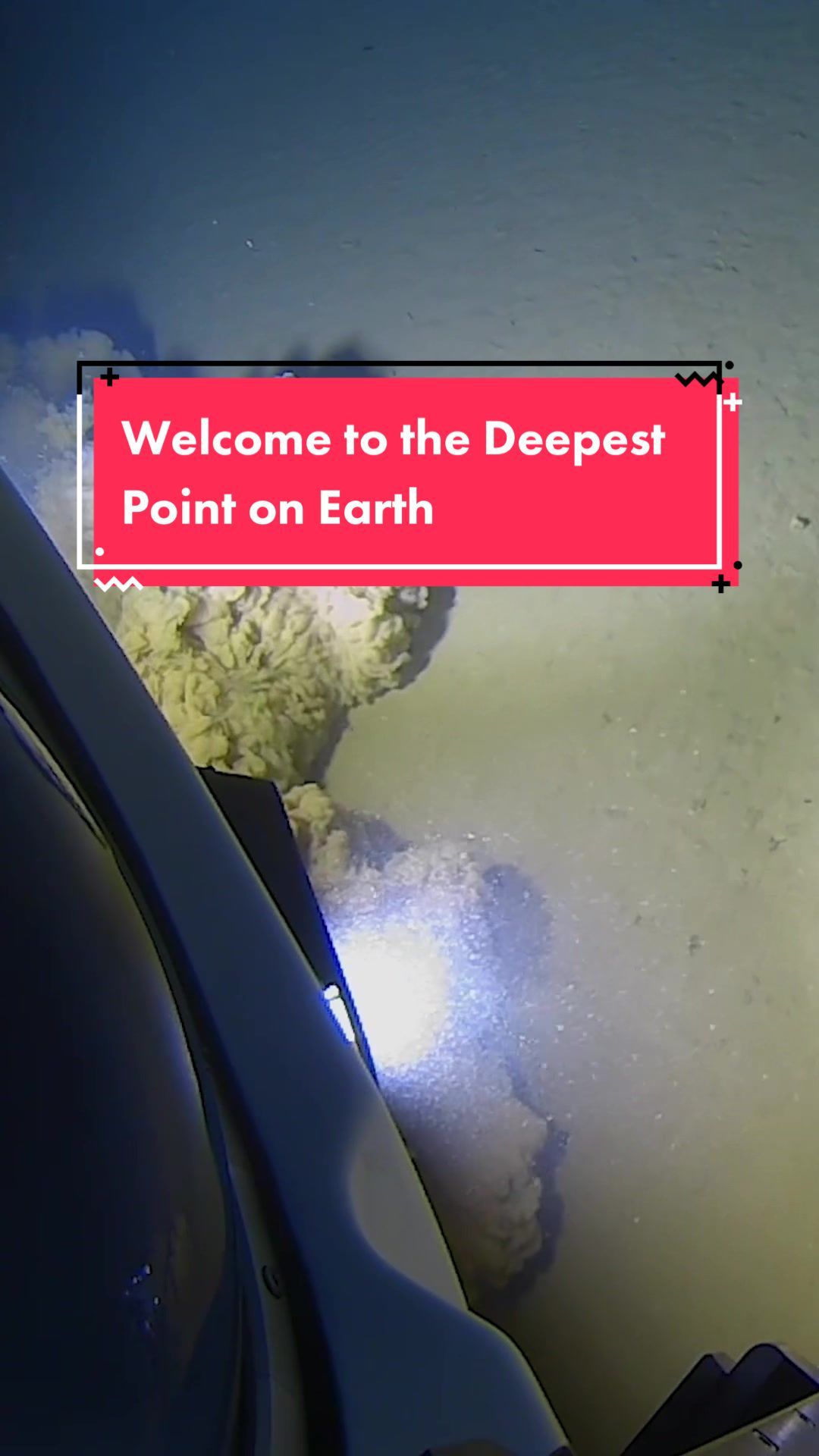 Video post by @sciencechannel on TikTok