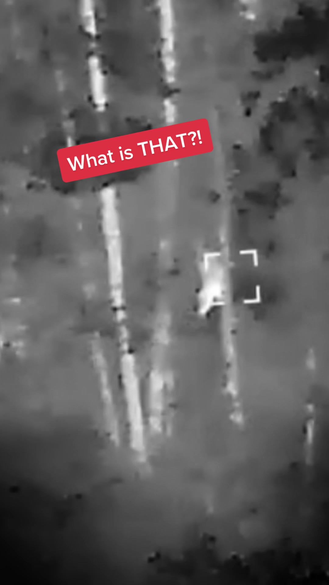 Video post by @travelchannel on TikTok