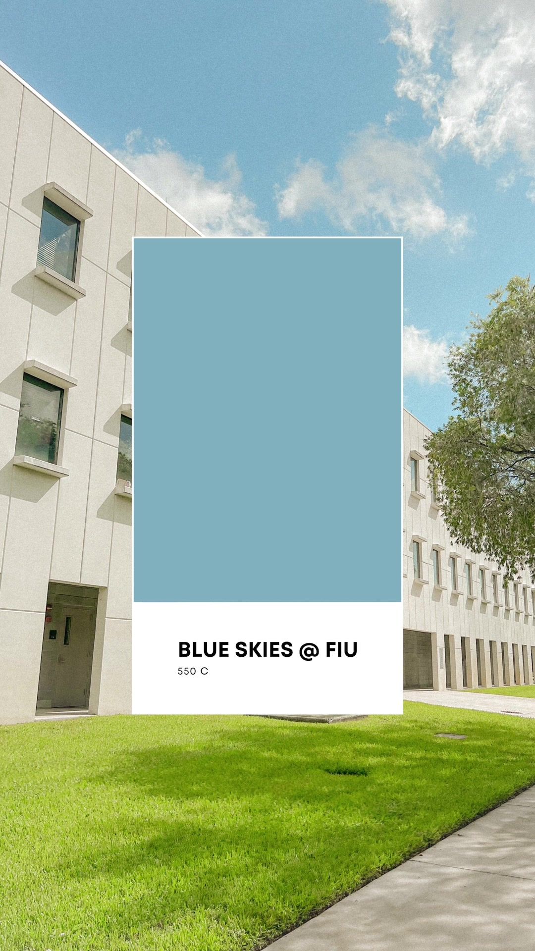 Video post by @fiutiktok on TikTok