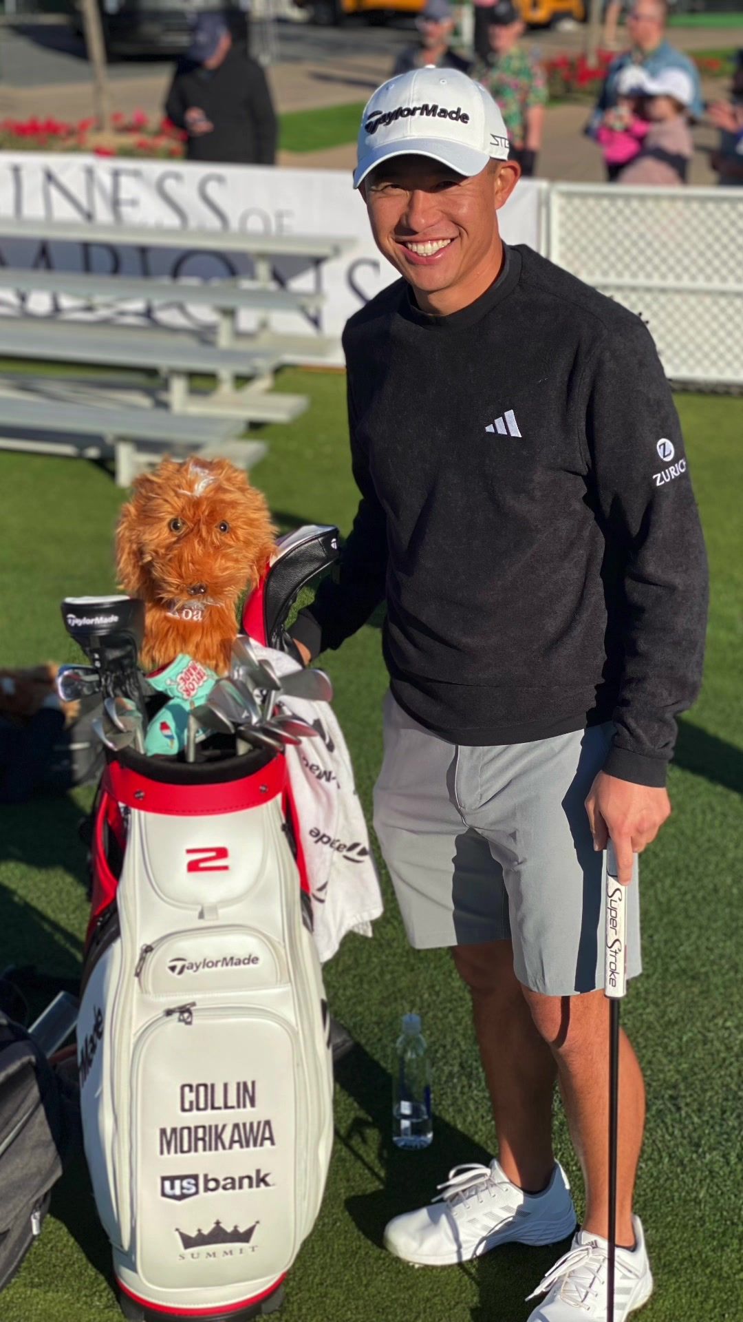 Video post by @daphnesheadcovers on TikTok