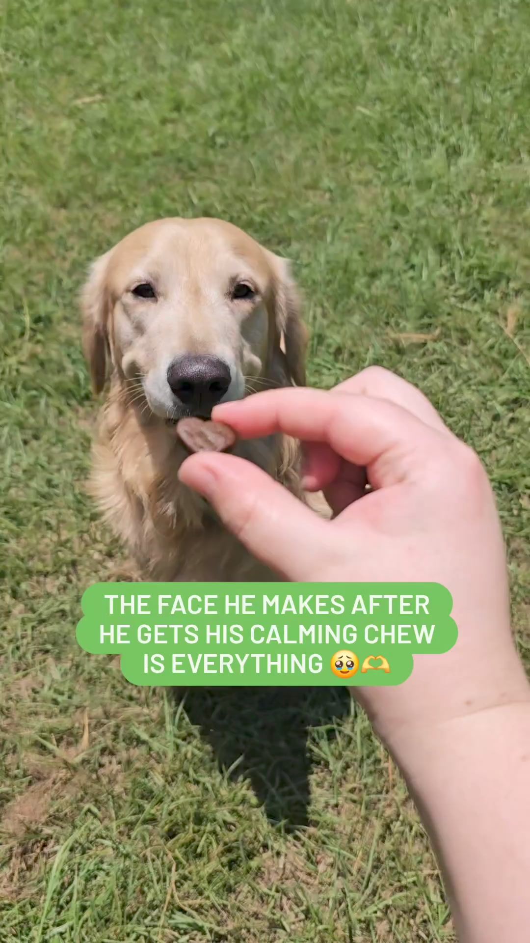 Video post by @YuMOVE.US on Facebook