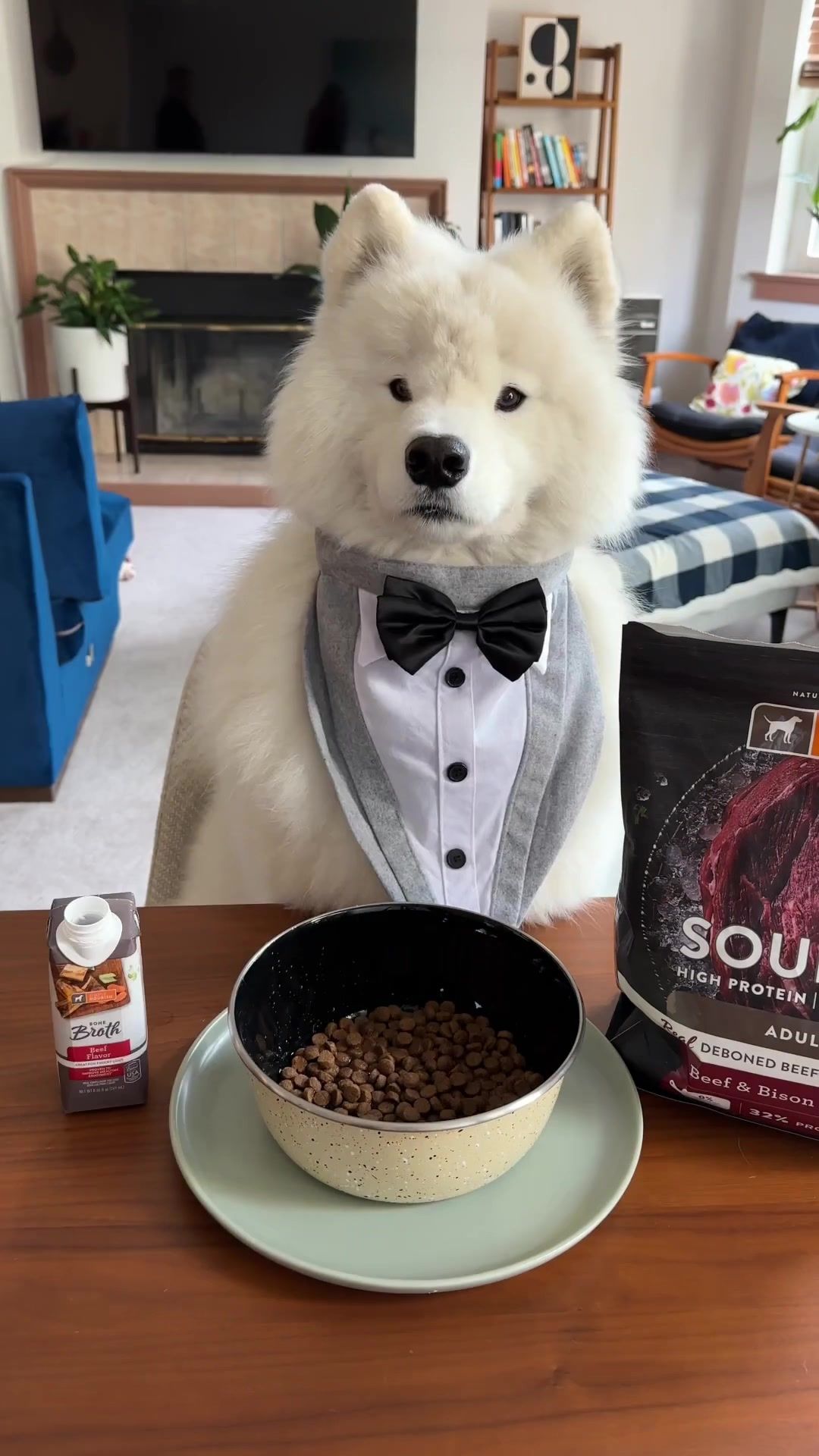 Video post by @petsmart on TikTok