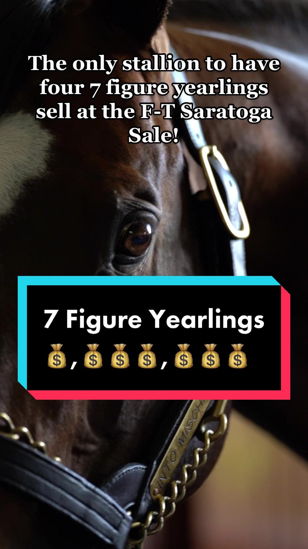 Video post by @spendthriftfarm on TikTok