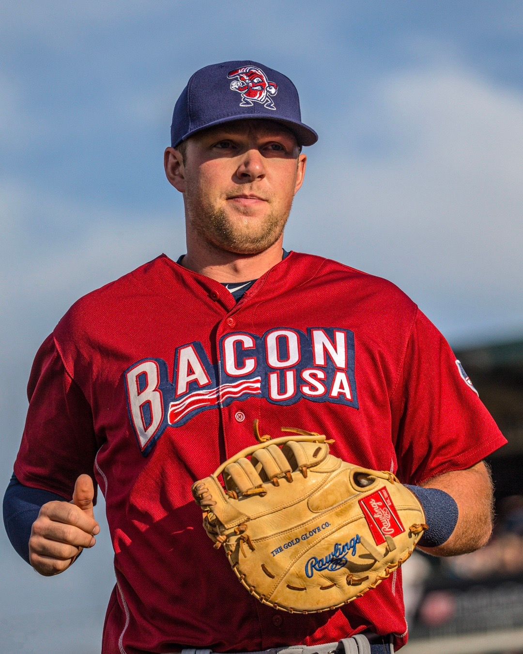 Image post by @ironpigs on TikTok