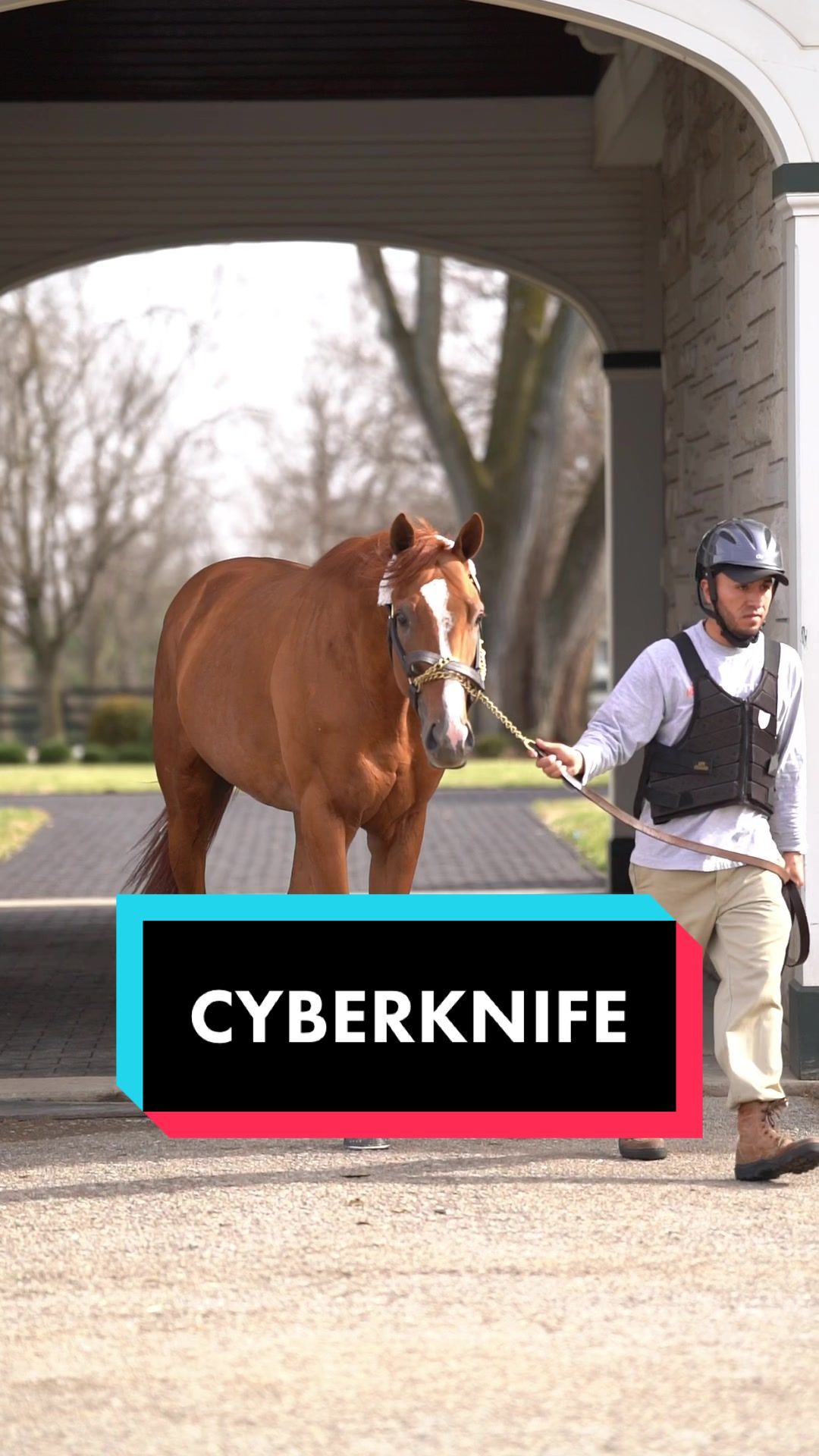 Video post by @spendthriftfarm on TikTok