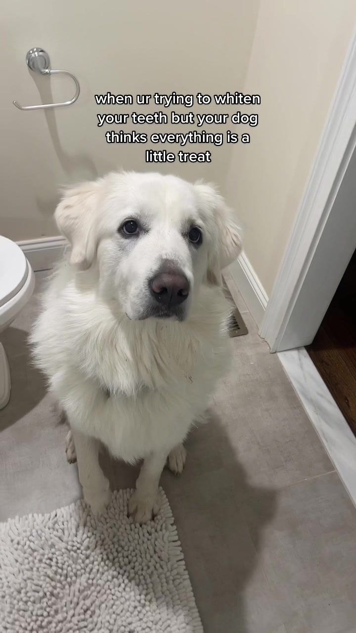 Video post by @arcsmile on TikTok