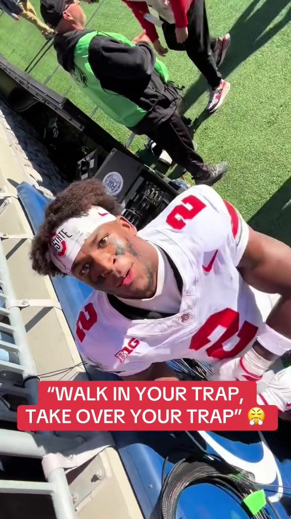 Video post by @whistle on TikTok