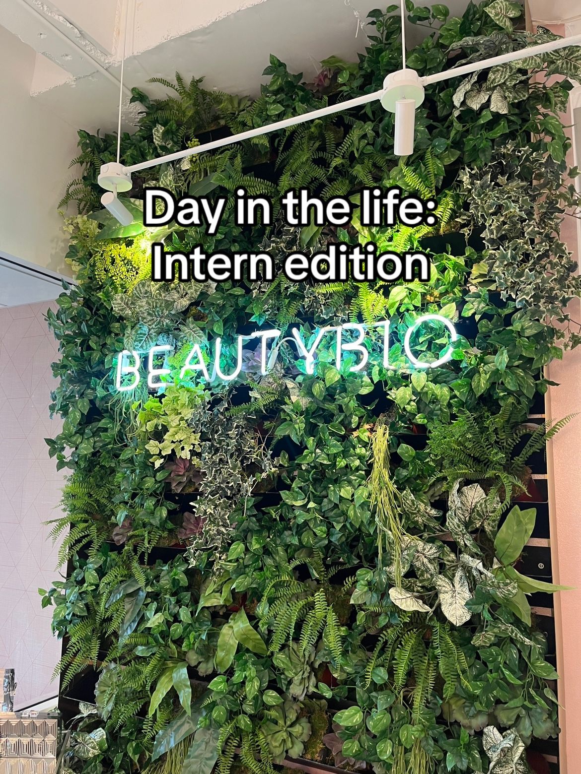 Image post by @skintellectsquad on TikTok