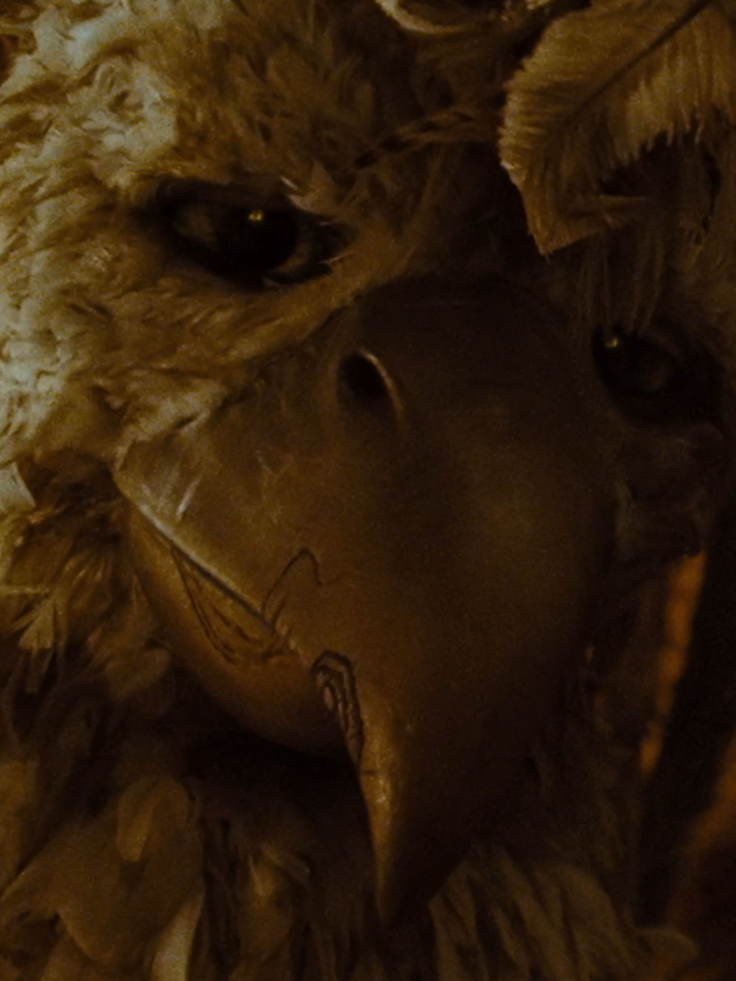 Video post by @hbo on TikTok