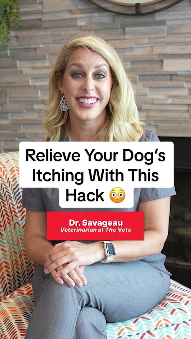 Video post by @thevets_official on TikTok