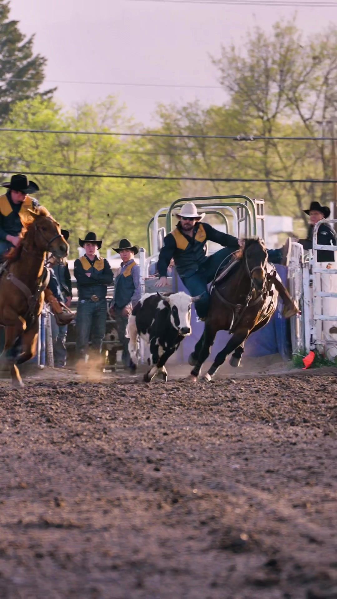 Video post by @codyscreative on TikTok