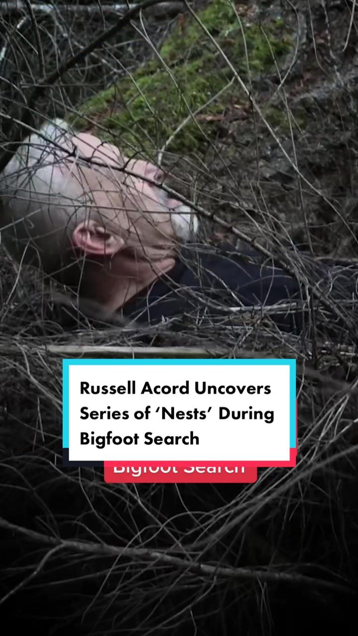 Video post by @travelchannel on TikTok