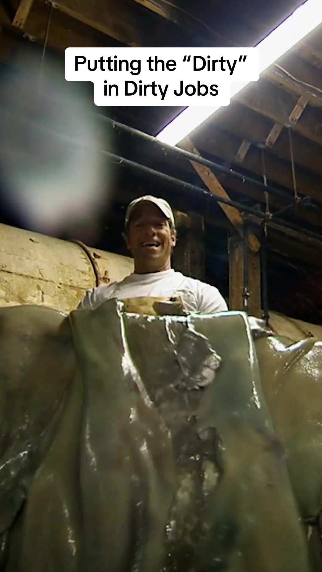 Video post by @discovery on TikTok